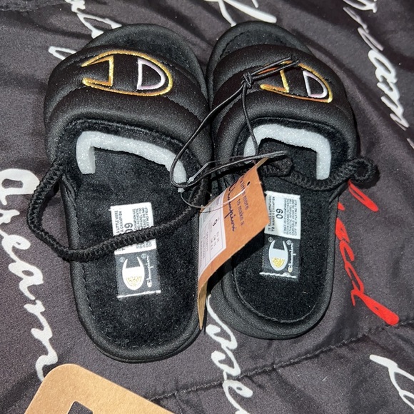 Champion slides - Picture 2 of 2